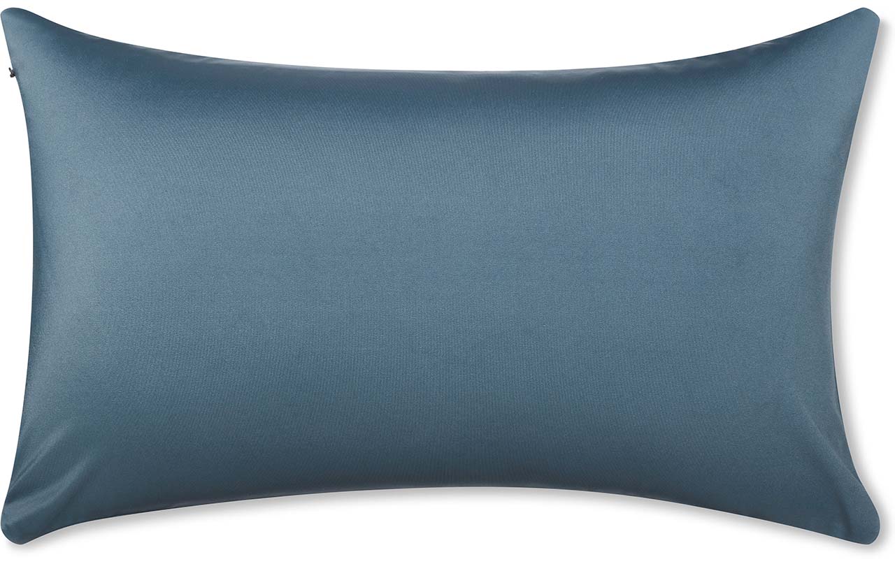 Pillow & Cover / Dark Slate Grey