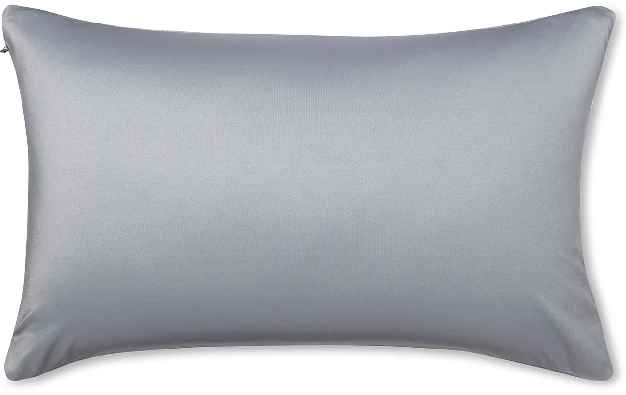 Pillow & Cover / Dark Grey