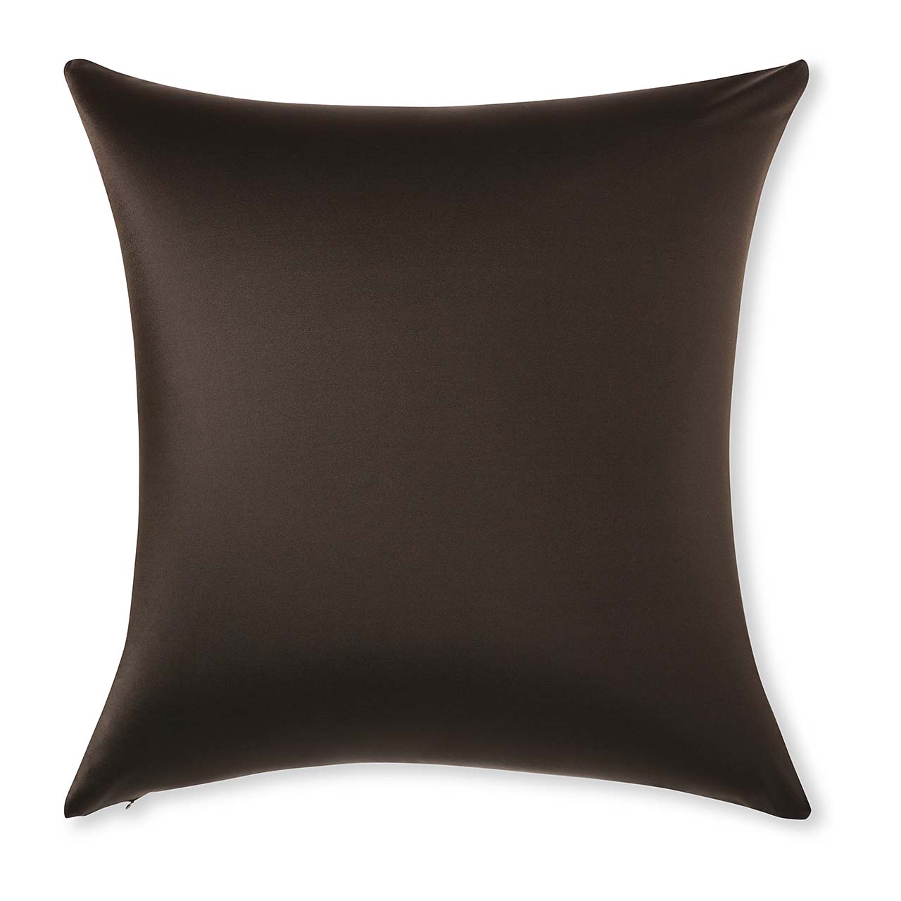 Pillow & Cover / Black