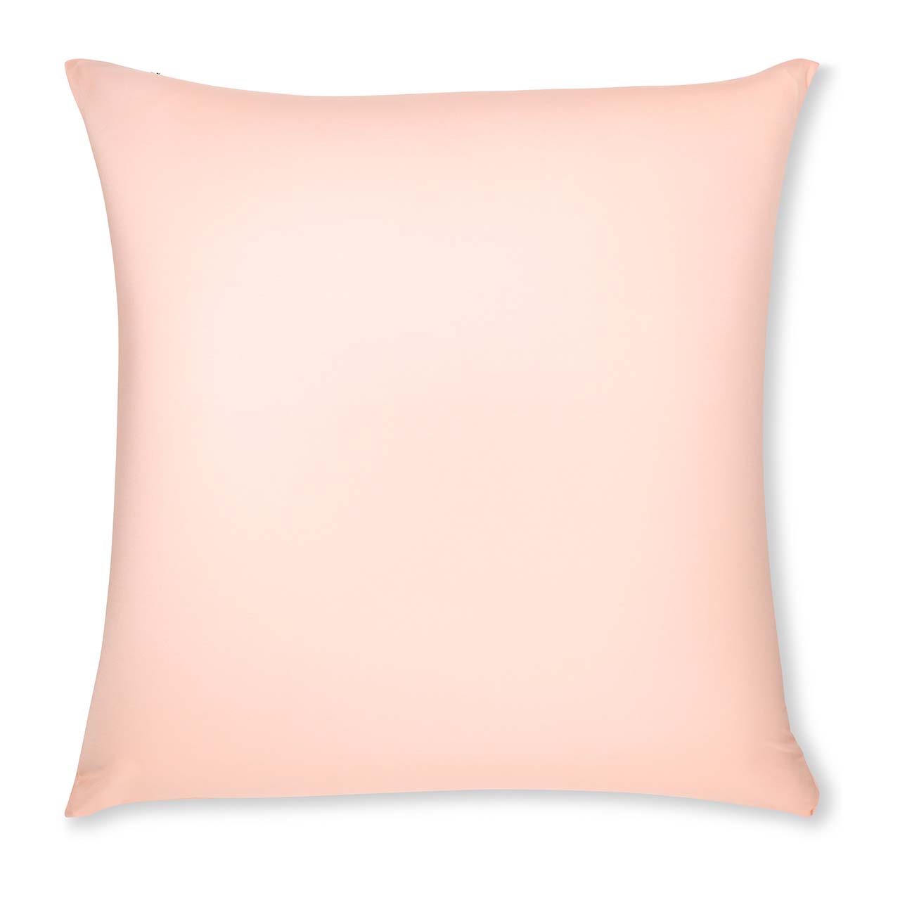 Pillow & Cover / Cream Peach