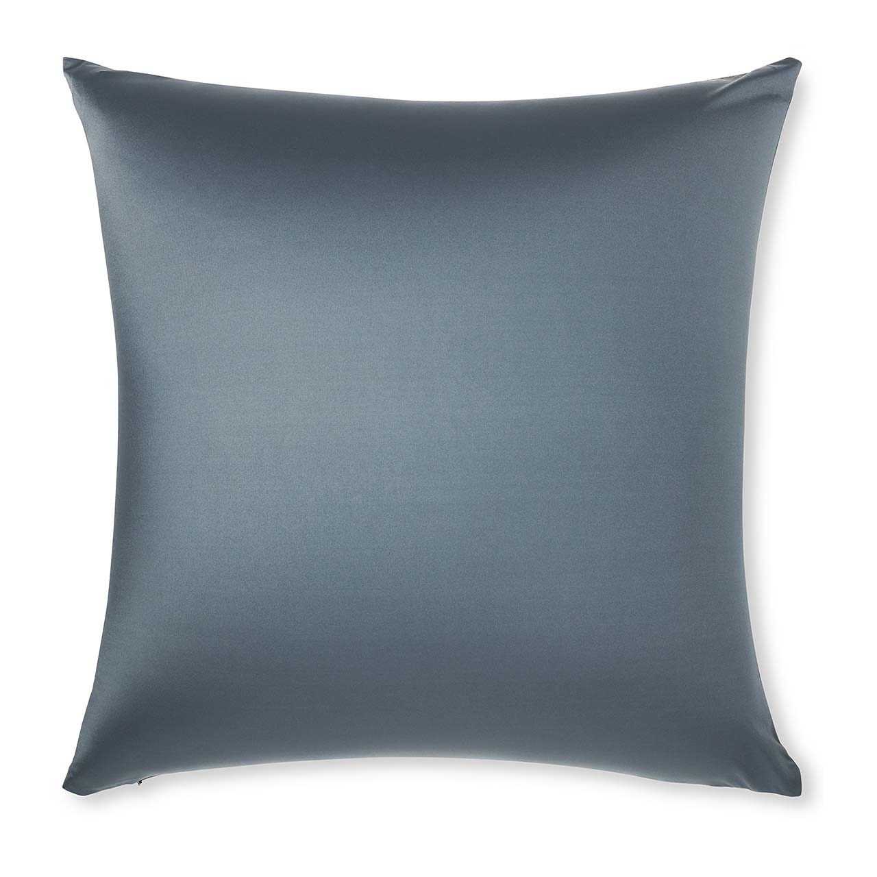 Pillow & Cover / Dark Slate Grey