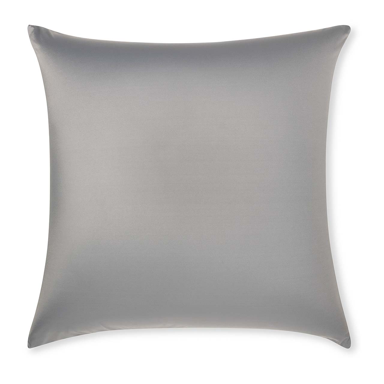 Pillow & Cover / Dark Grey