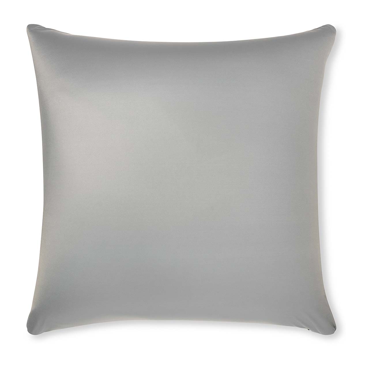 Pillow & Cover / Light Grey