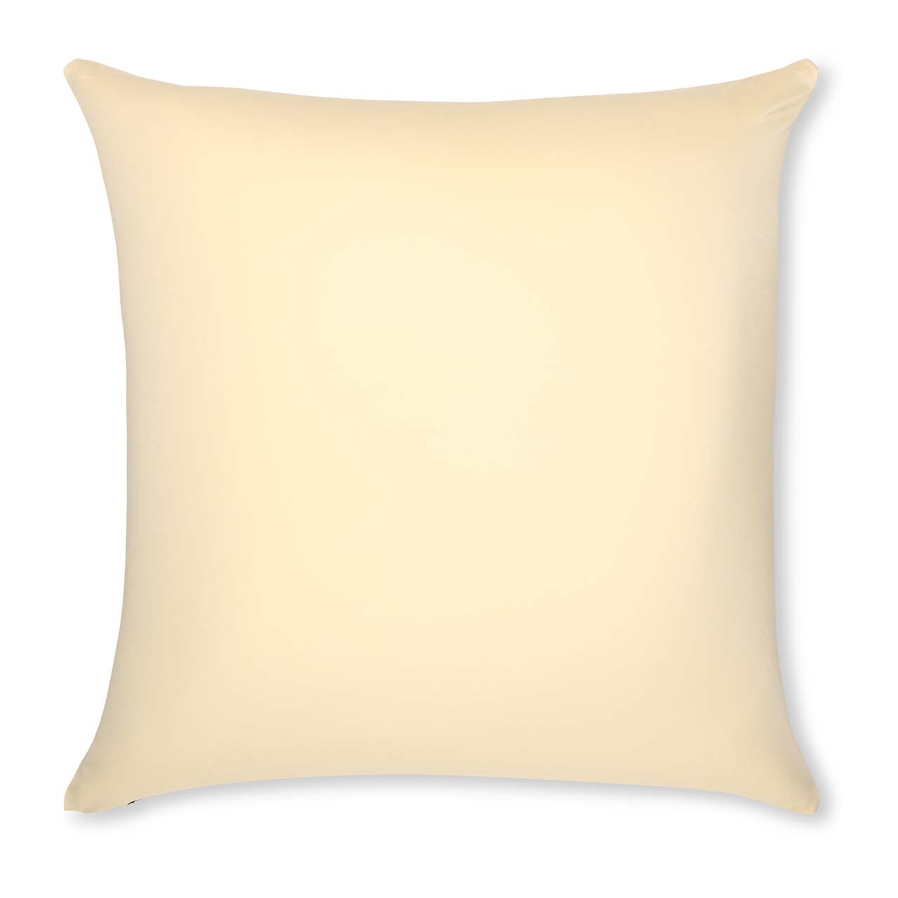 Pillow & Cover / Off white- Creme