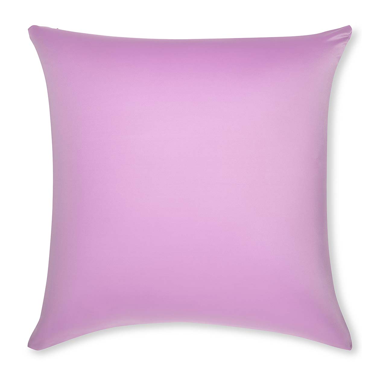 Pillow & Cover / Purple