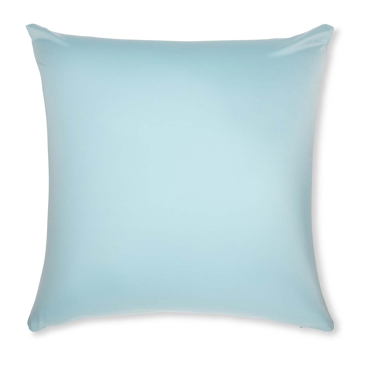 Pillow & Cover / Sweat Baby Blue