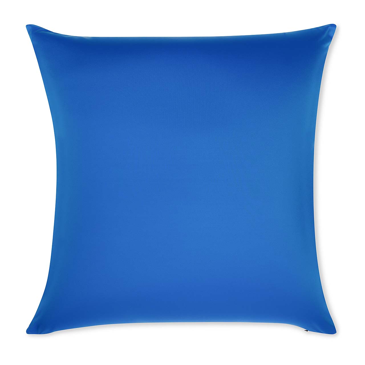 Pillow & Cover / Yeal Blue