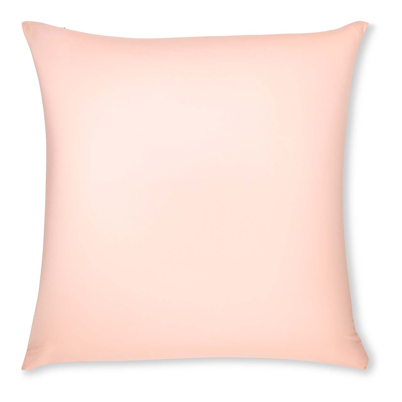 Pillow & Cover / Cream Peach