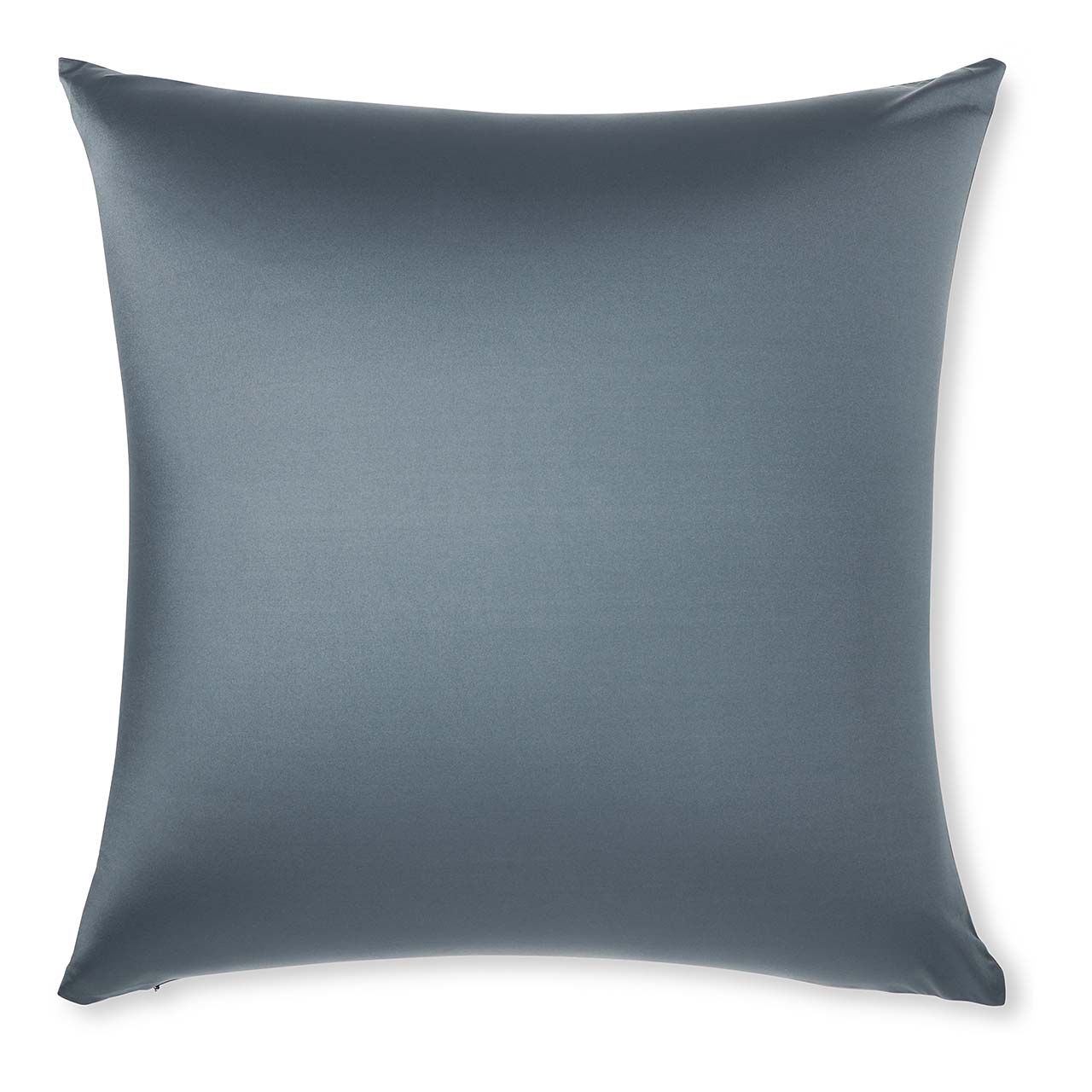 Pillow & Cover / Dark Slate Grey