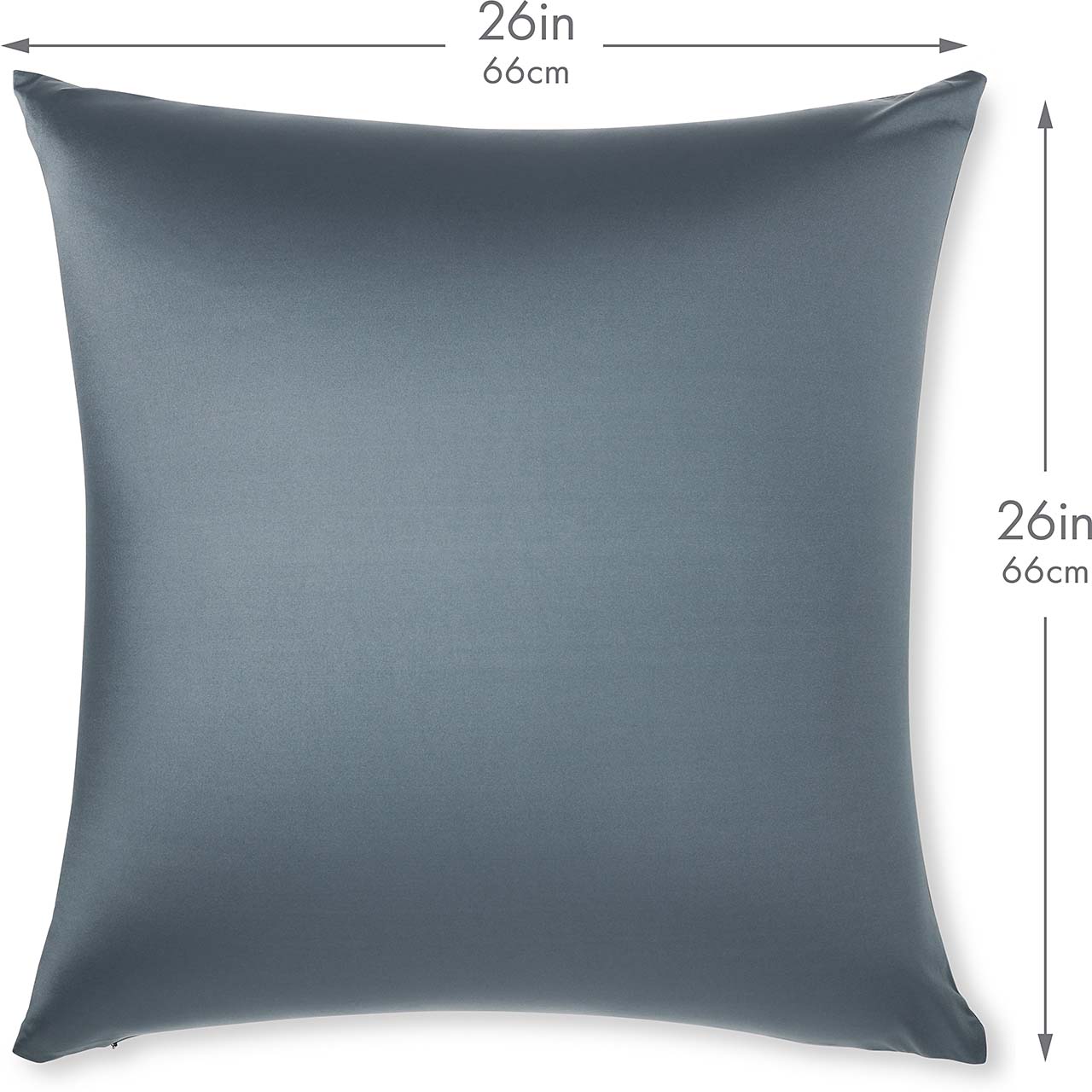 Pillow & Cover / Dark Slate Grey