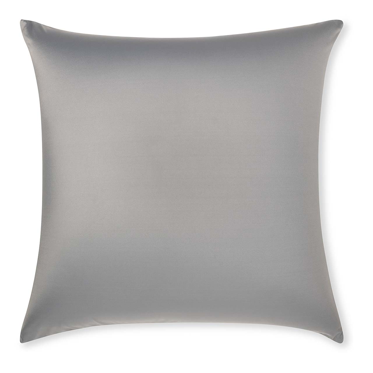 Pillow & Cover / Dark Grey