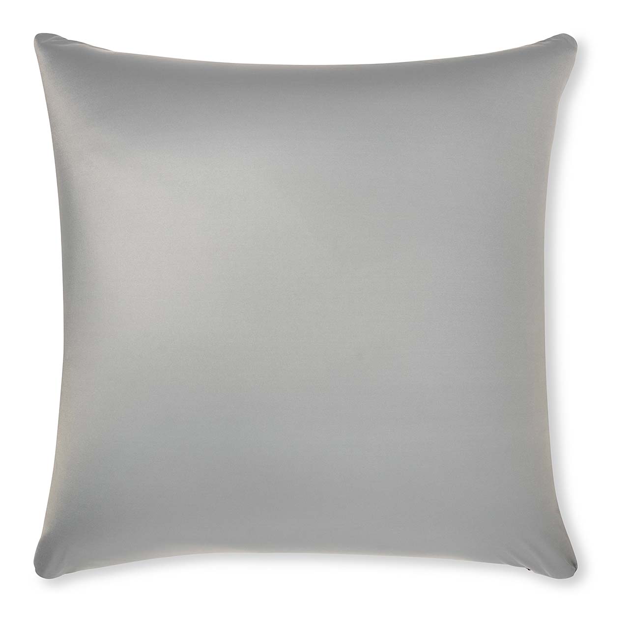 Pillow & Cover / Light Grey