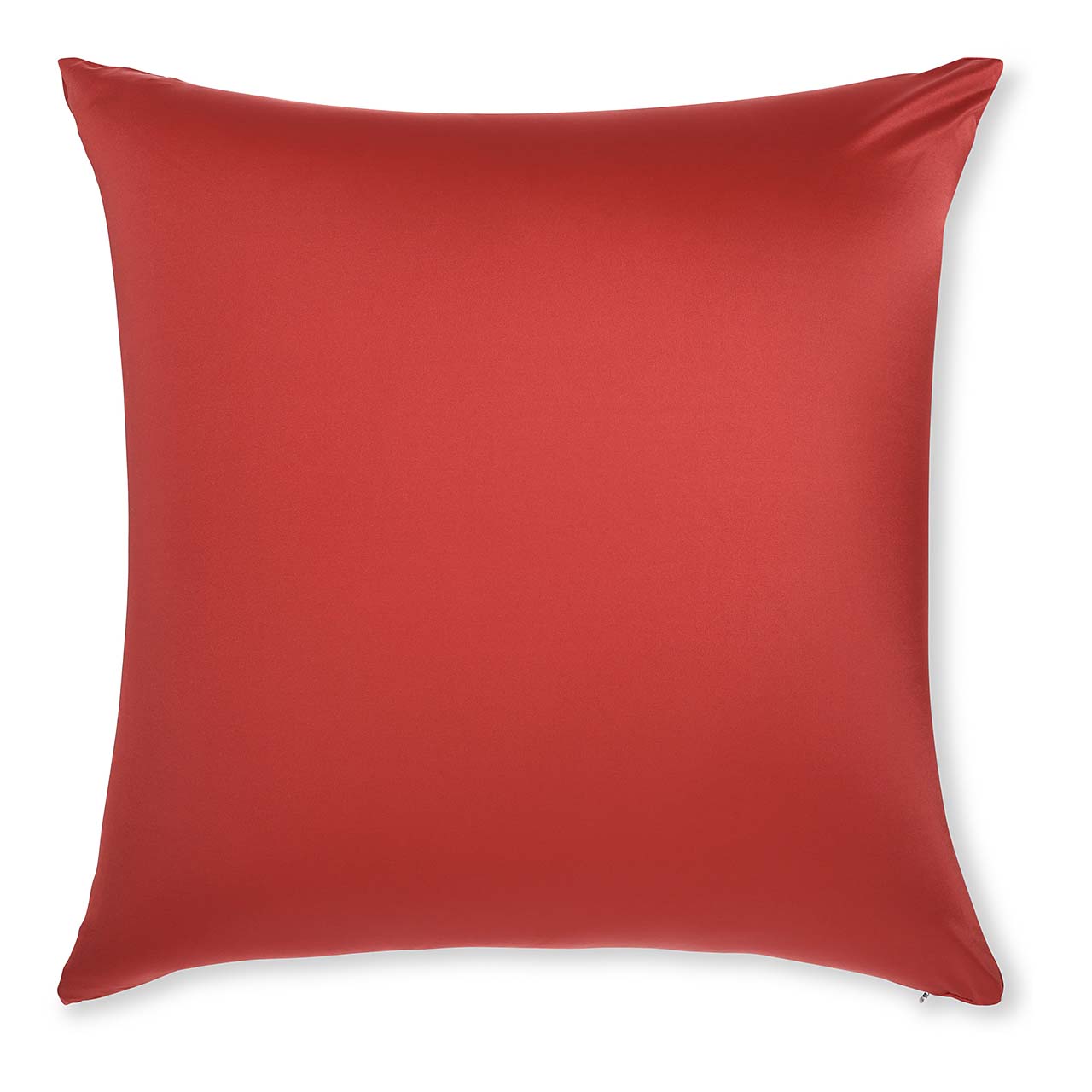 Pillow & Cover / Maroon