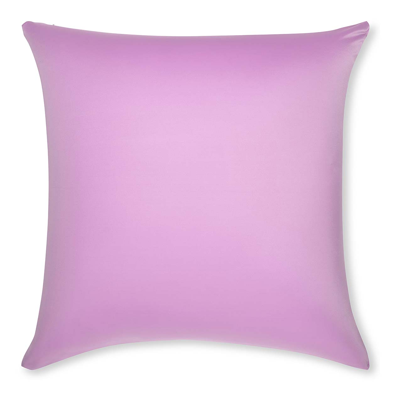 Pillow & Cover / Purple