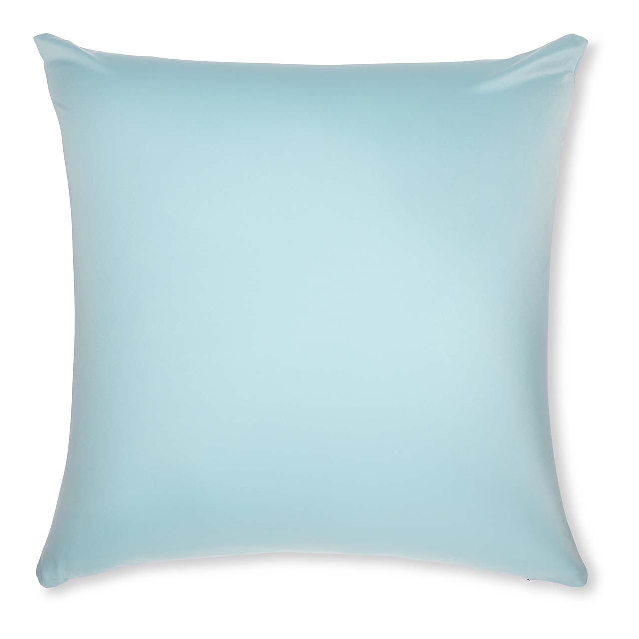 Pillow & Cover / Sweat Baby Blue