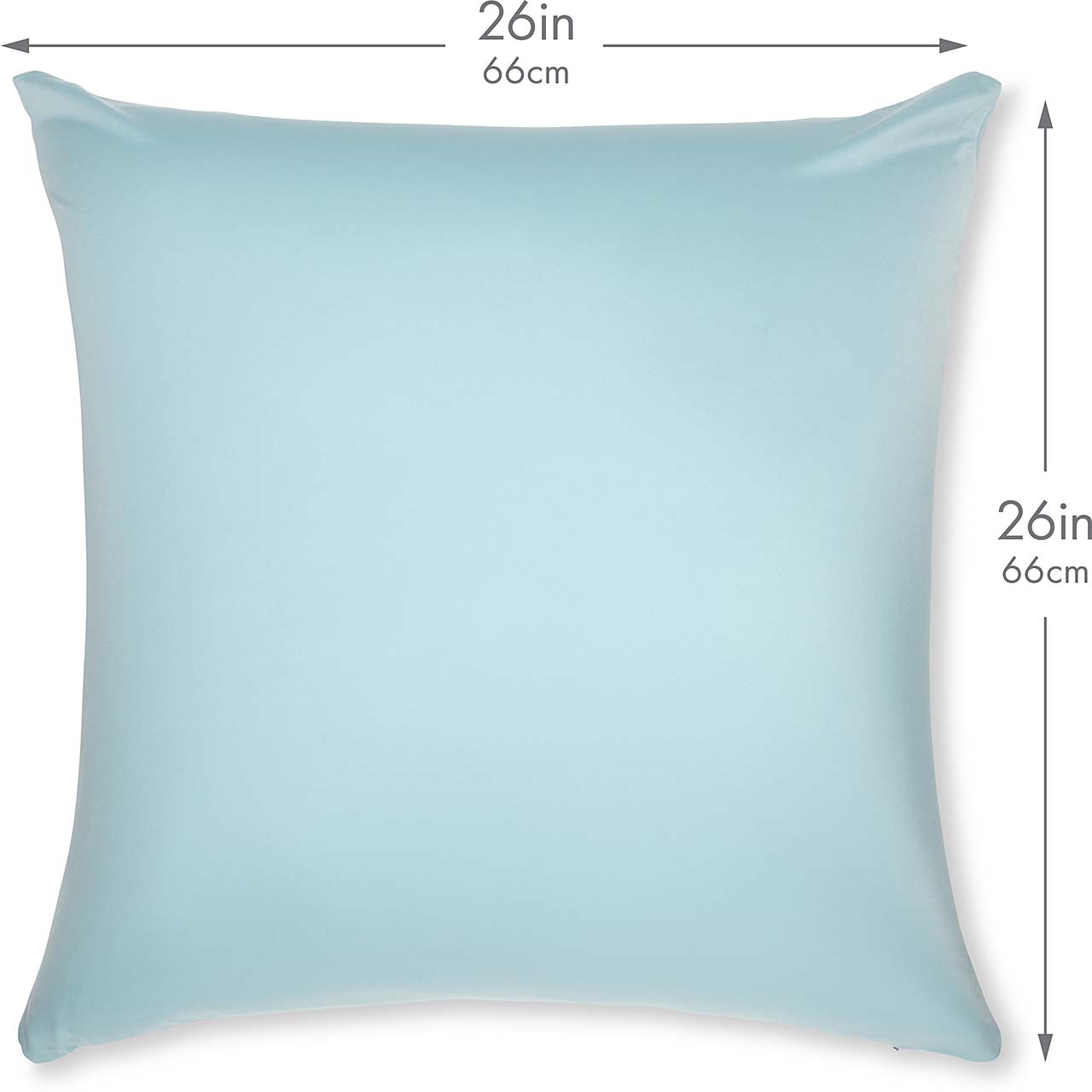 Pillow & Cover / Sweat Baby Blue