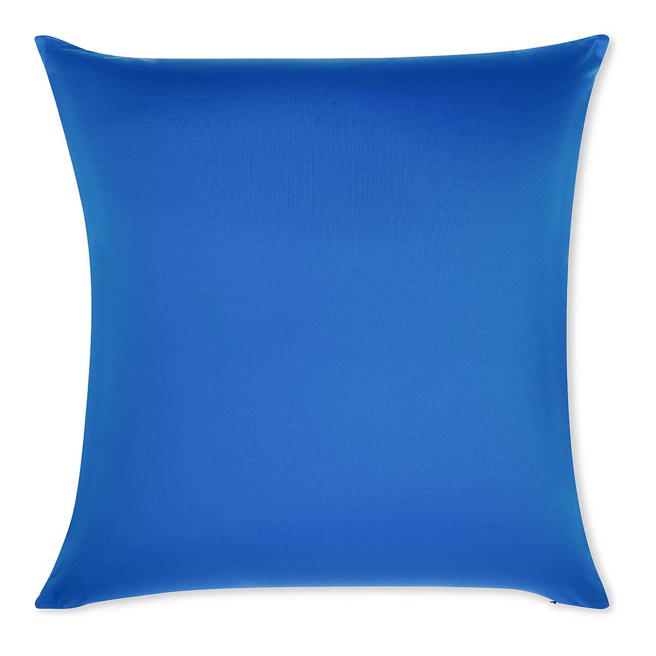 Pillow & Cover / Yeal Blue