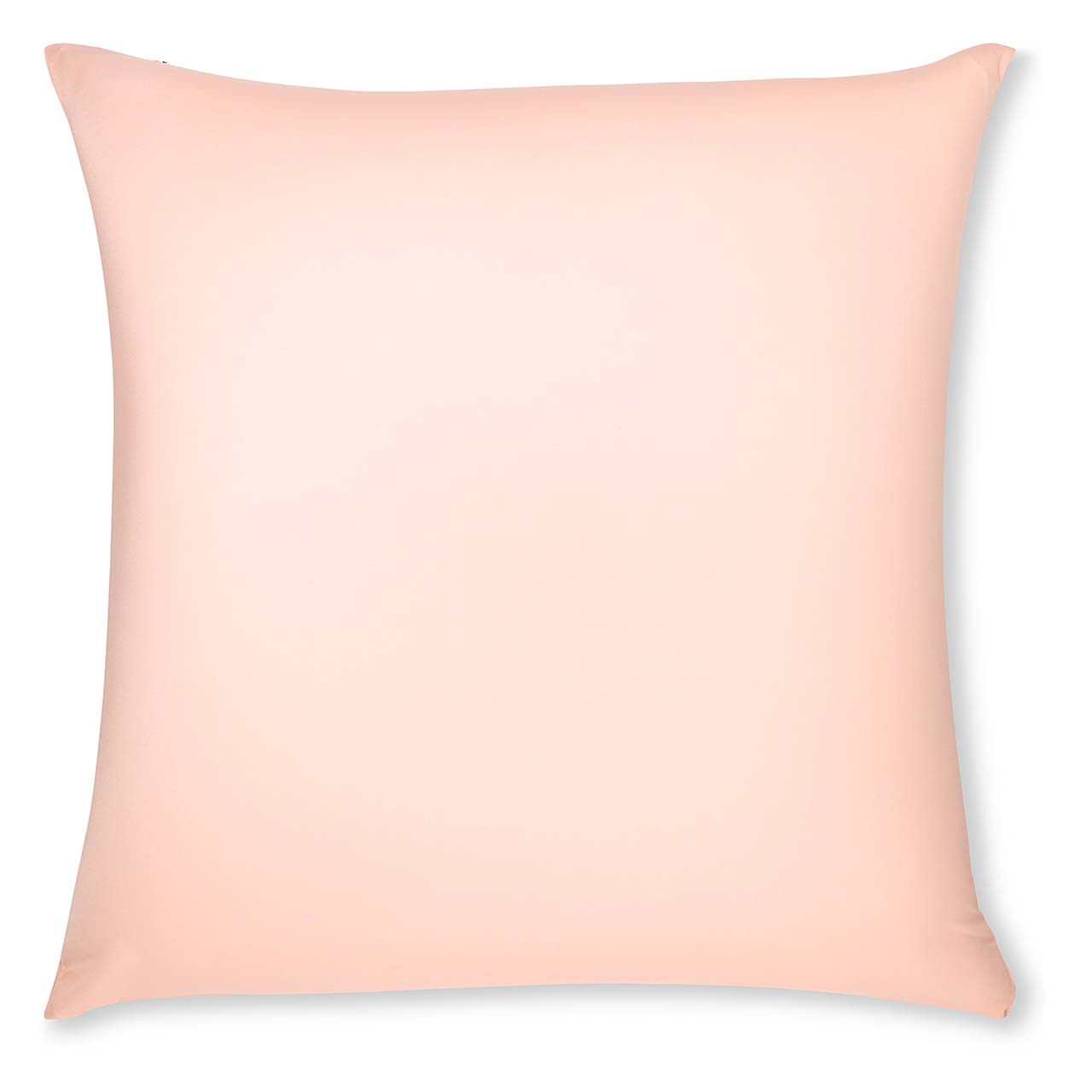 Pillow & Cover / Cream Peach