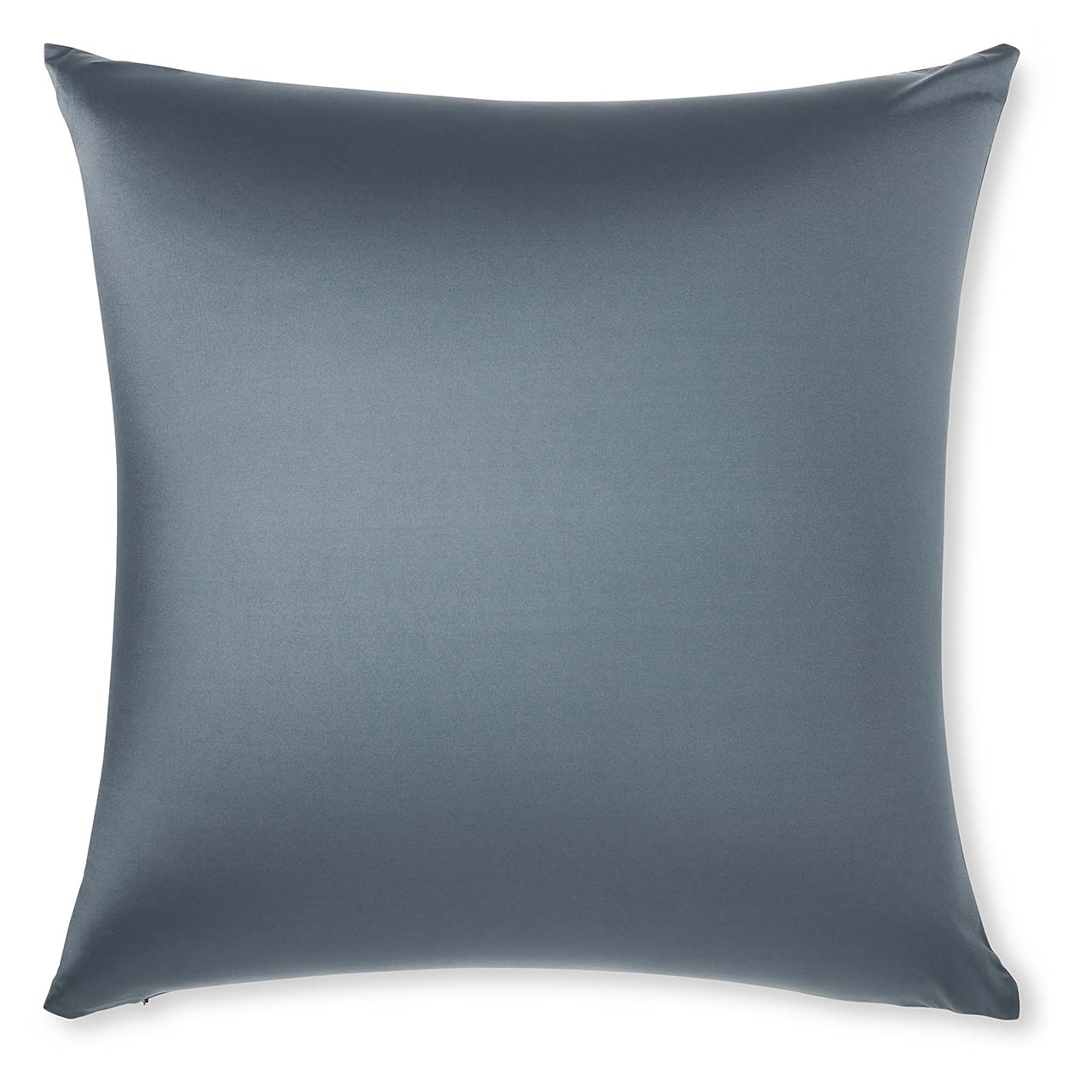 Pillow & Cover / Dark Slate Grey