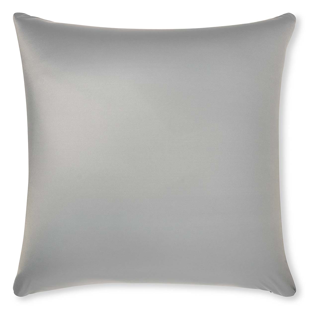 Pillow & Cover / Light Grey