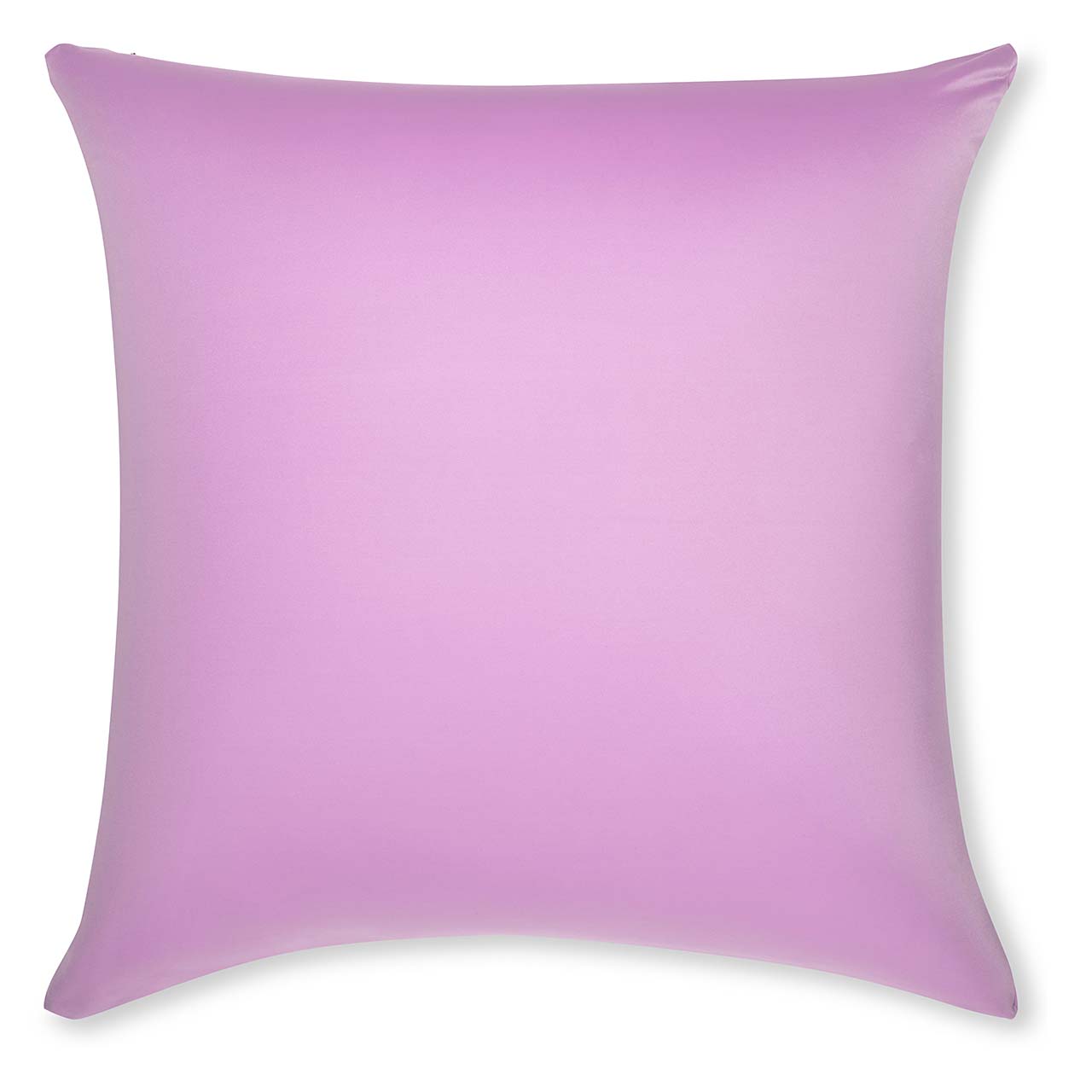 Pillow & Cover / Purple