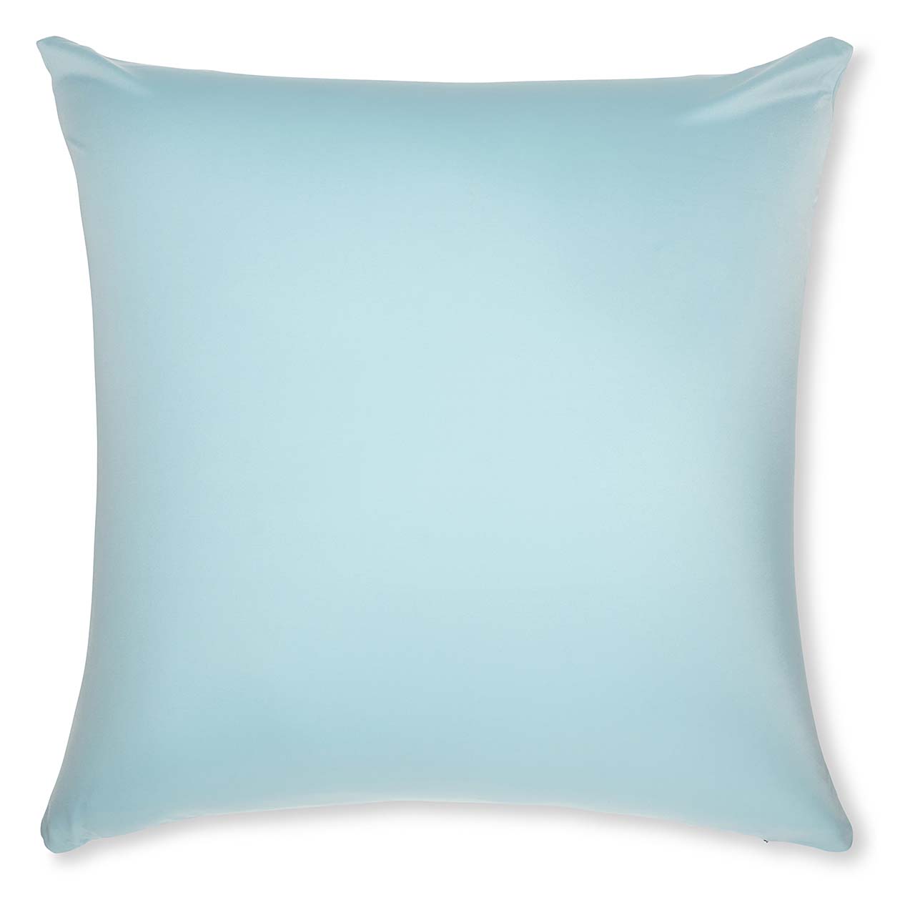 Pillow & Cover / Sweat Baby Blue