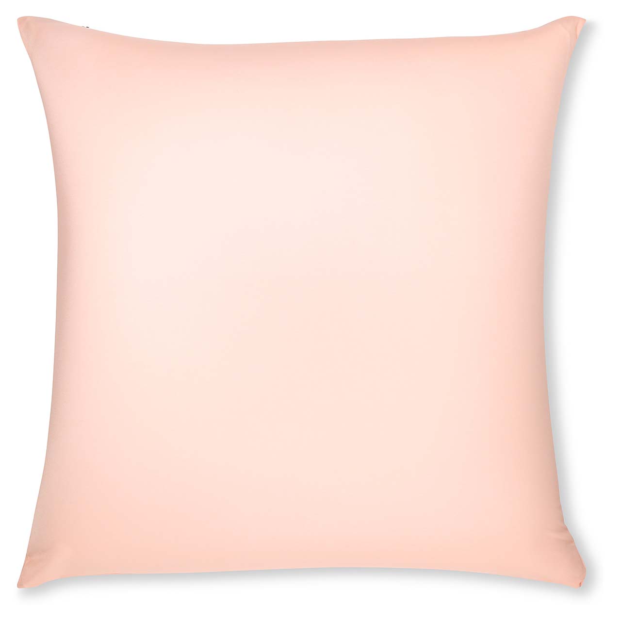 Pillow & Cover / Cream Peach