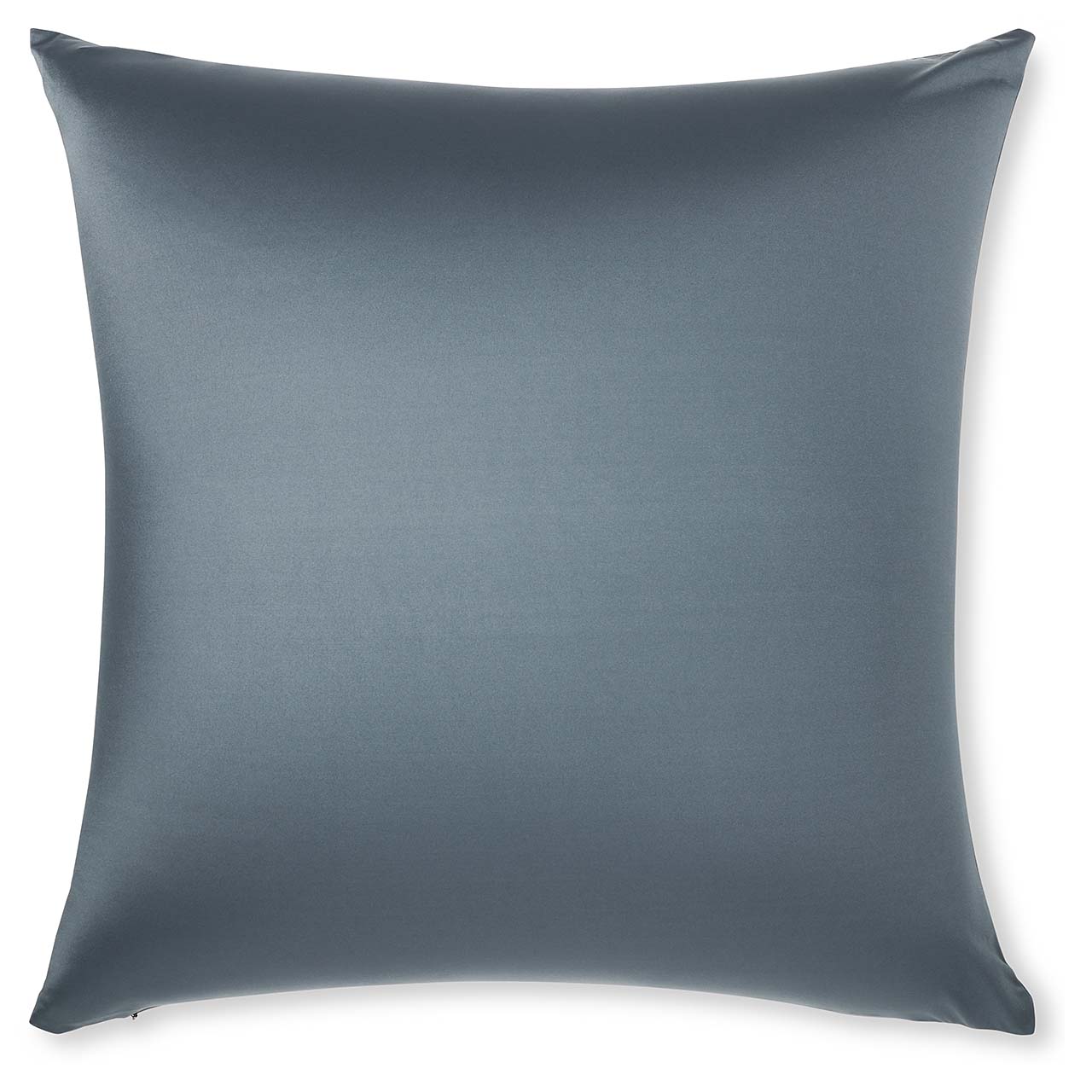 Pillow & Cover / Dark Slate Grey