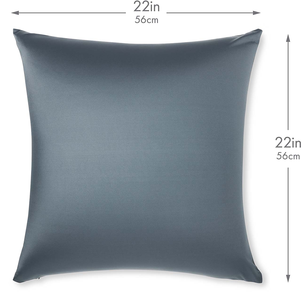 Pillow & Cover / Dark Slate Grey