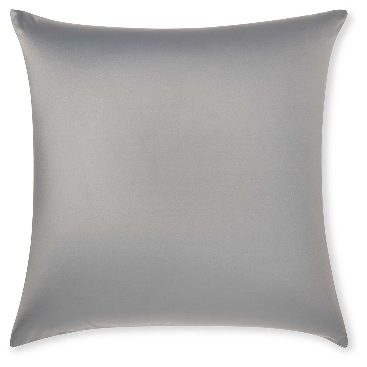 Pillow & Cover / Dark Grey