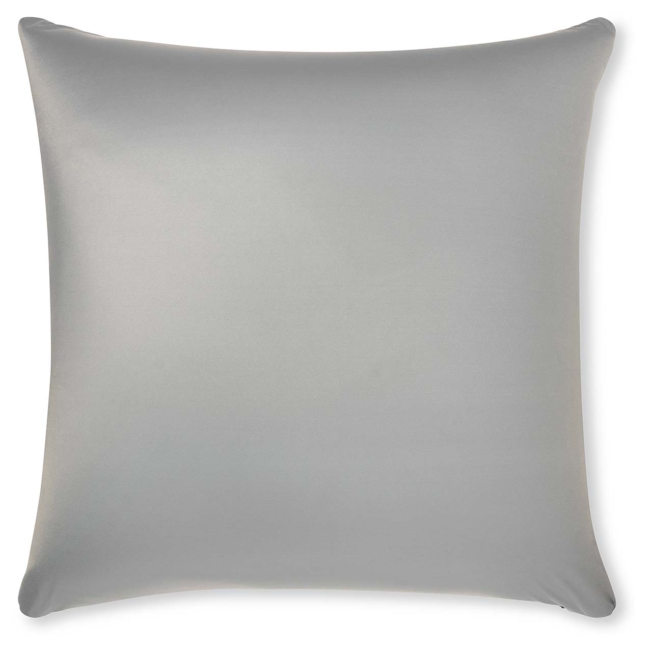 Pillow & Cover / Light Grey