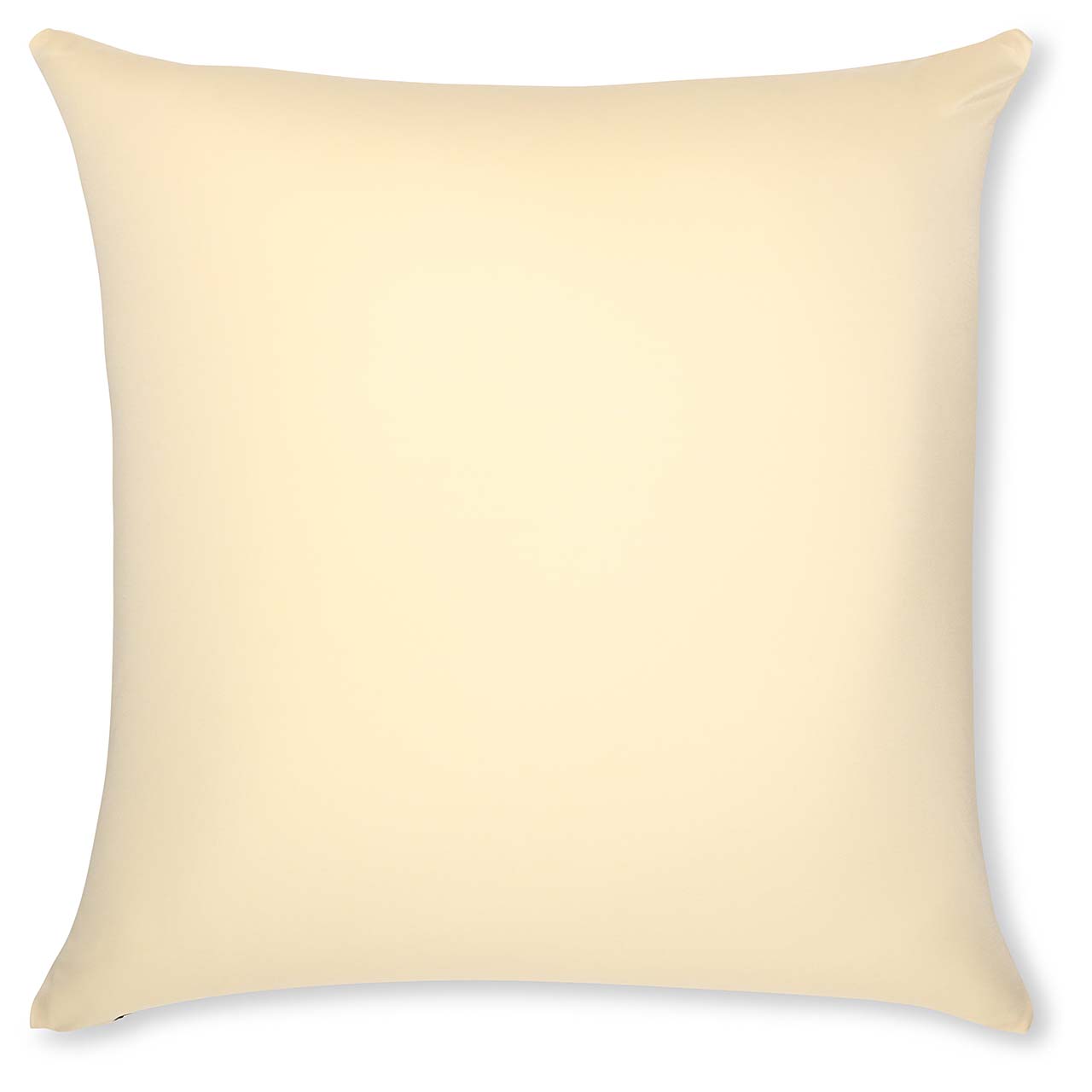 Pillow & Cover / Off white- Creme