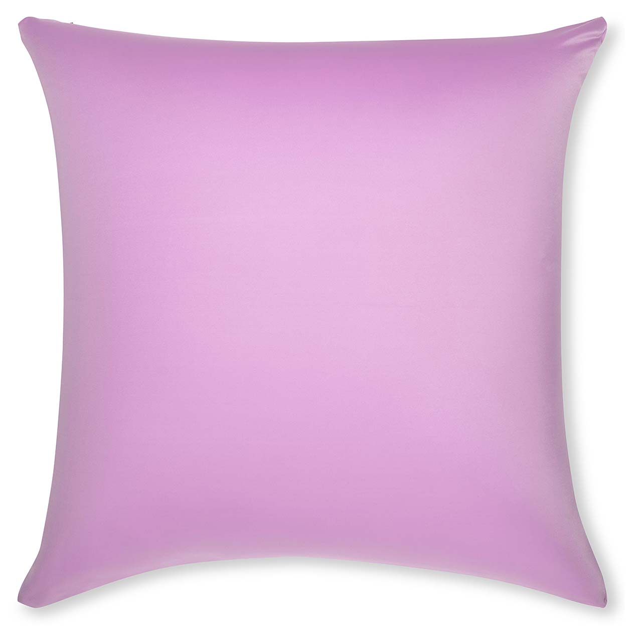 Pillow & Cover / Purple