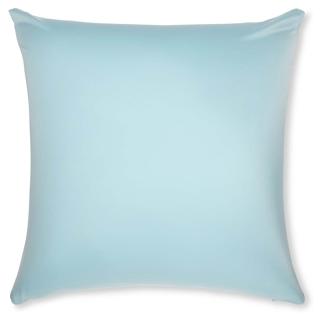 Pillow & Cover / Sweat Baby Blue