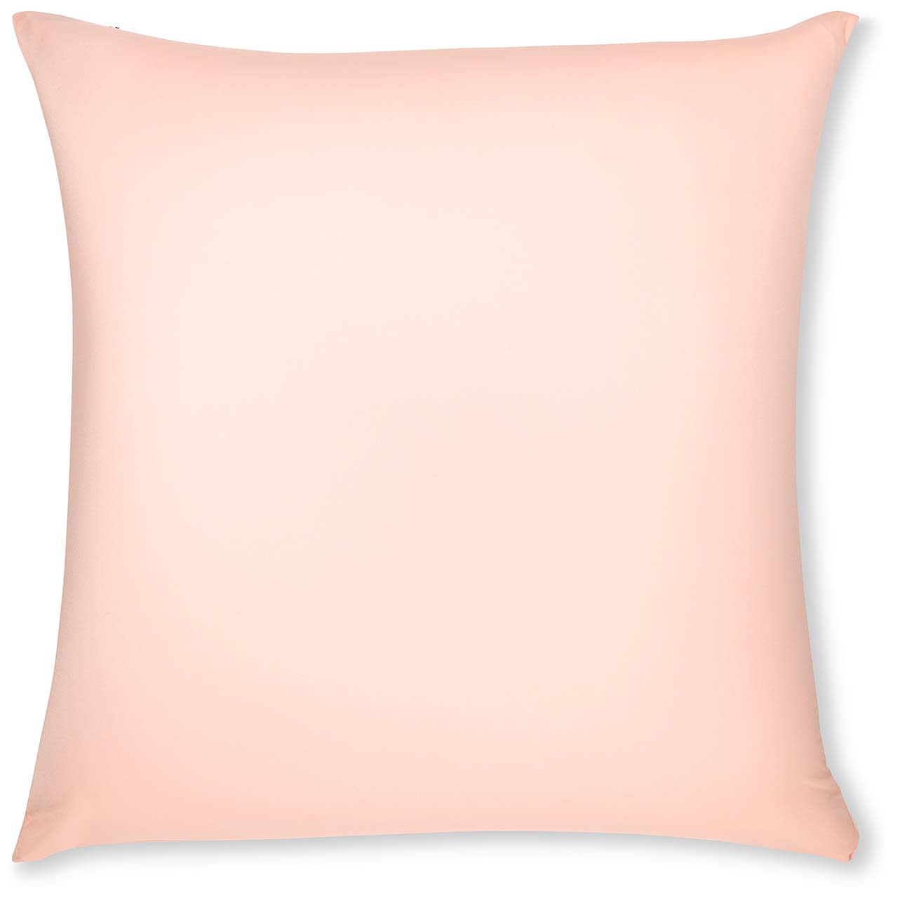 Pillow & Cover / Cream Peach