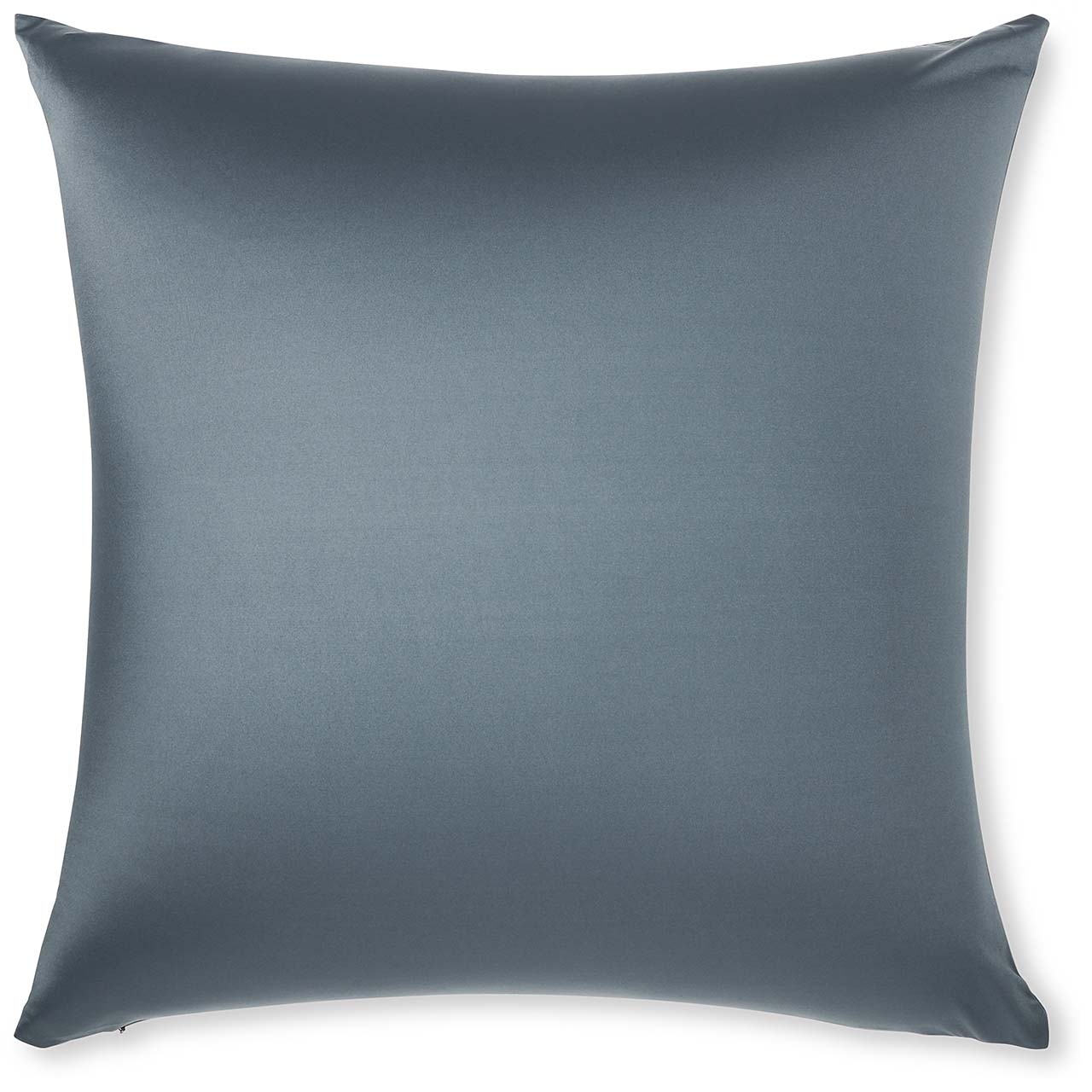 Pillow & Cover / Dark Slate Grey