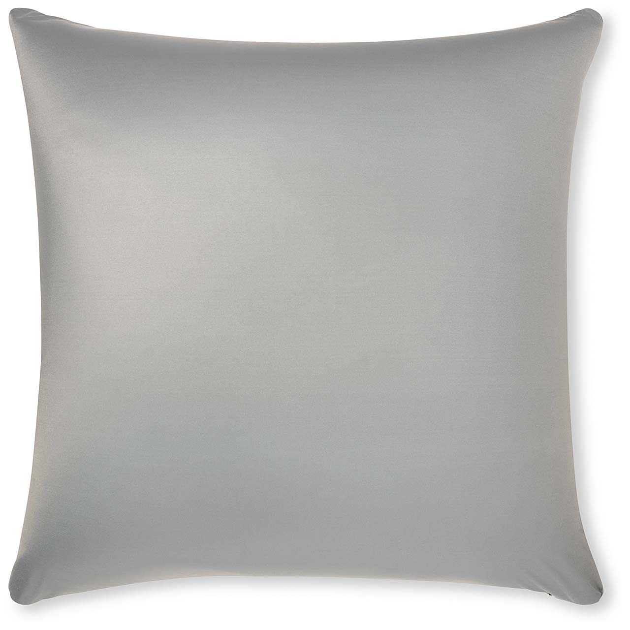 Pillow & Cover / Light Grey