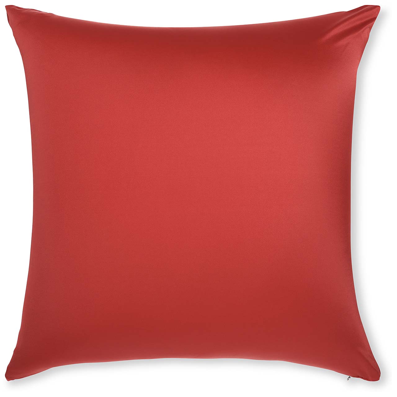 Pillow & Cover / Maroon