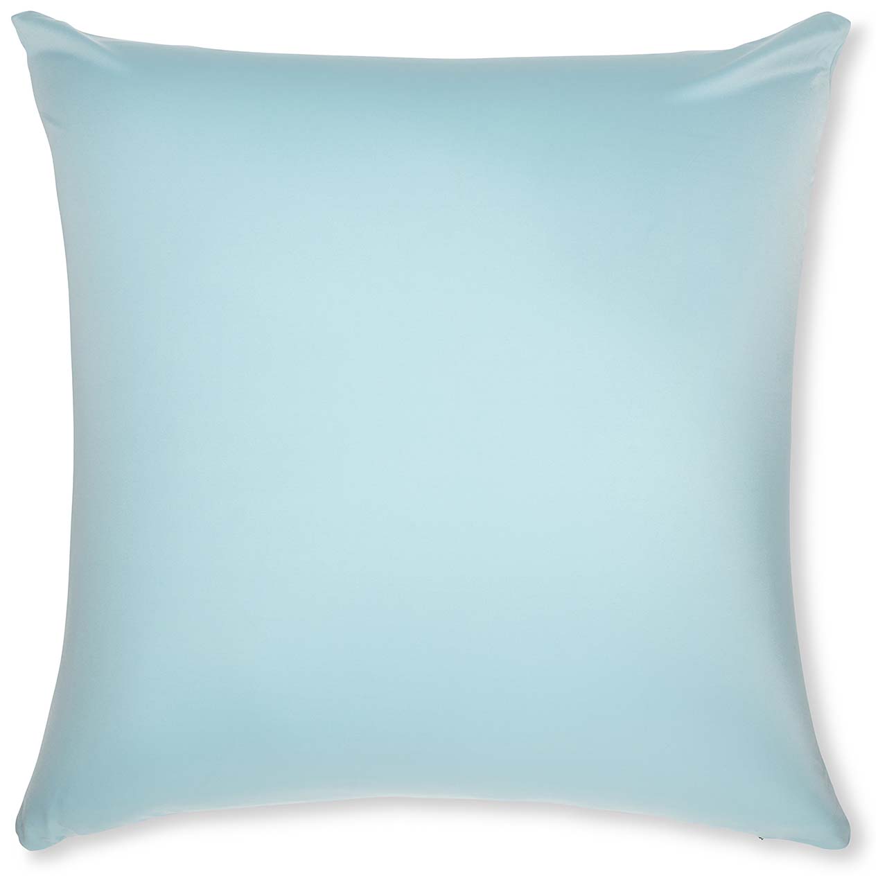 Pillow & Cover / Sweat Baby Blue