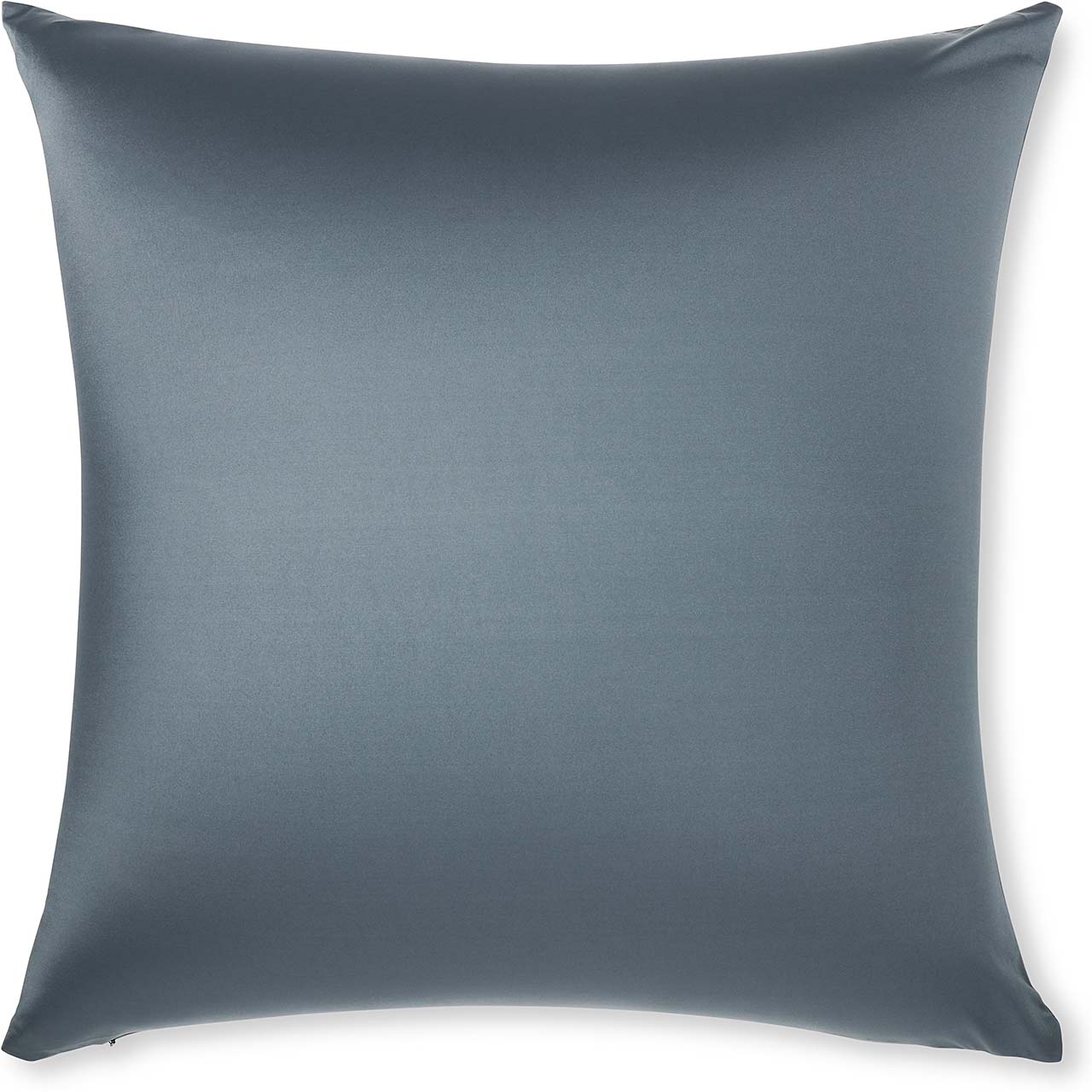 Pillow & Cover / Dark Slate Grey