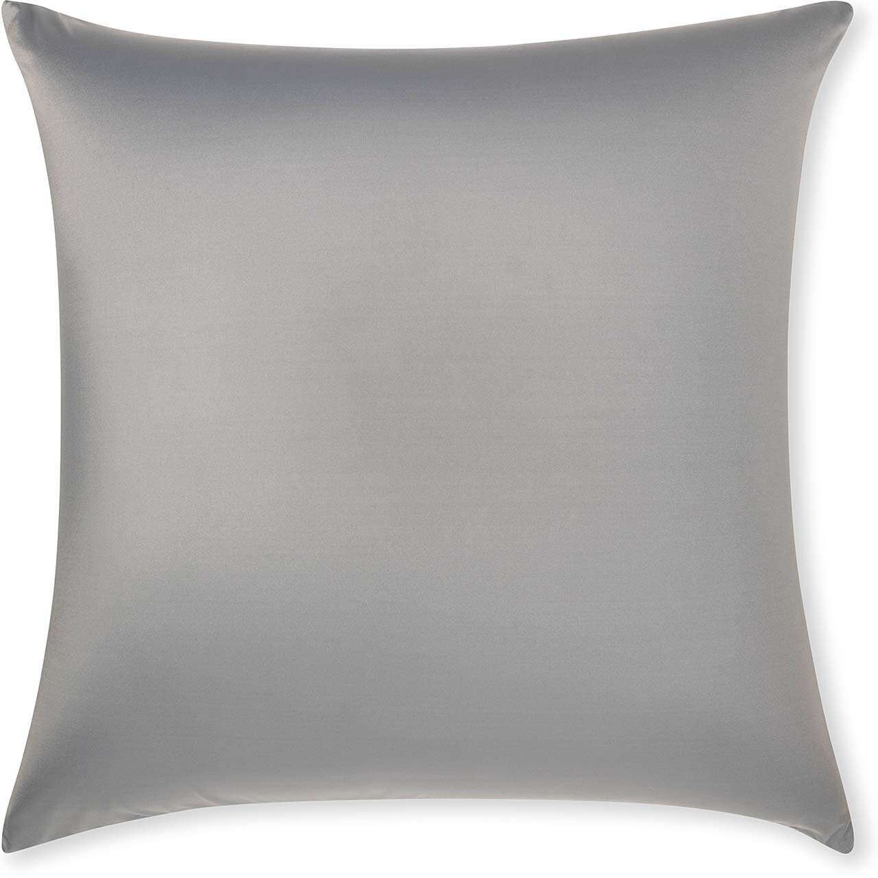 Pillow & Cover / Dark Grey