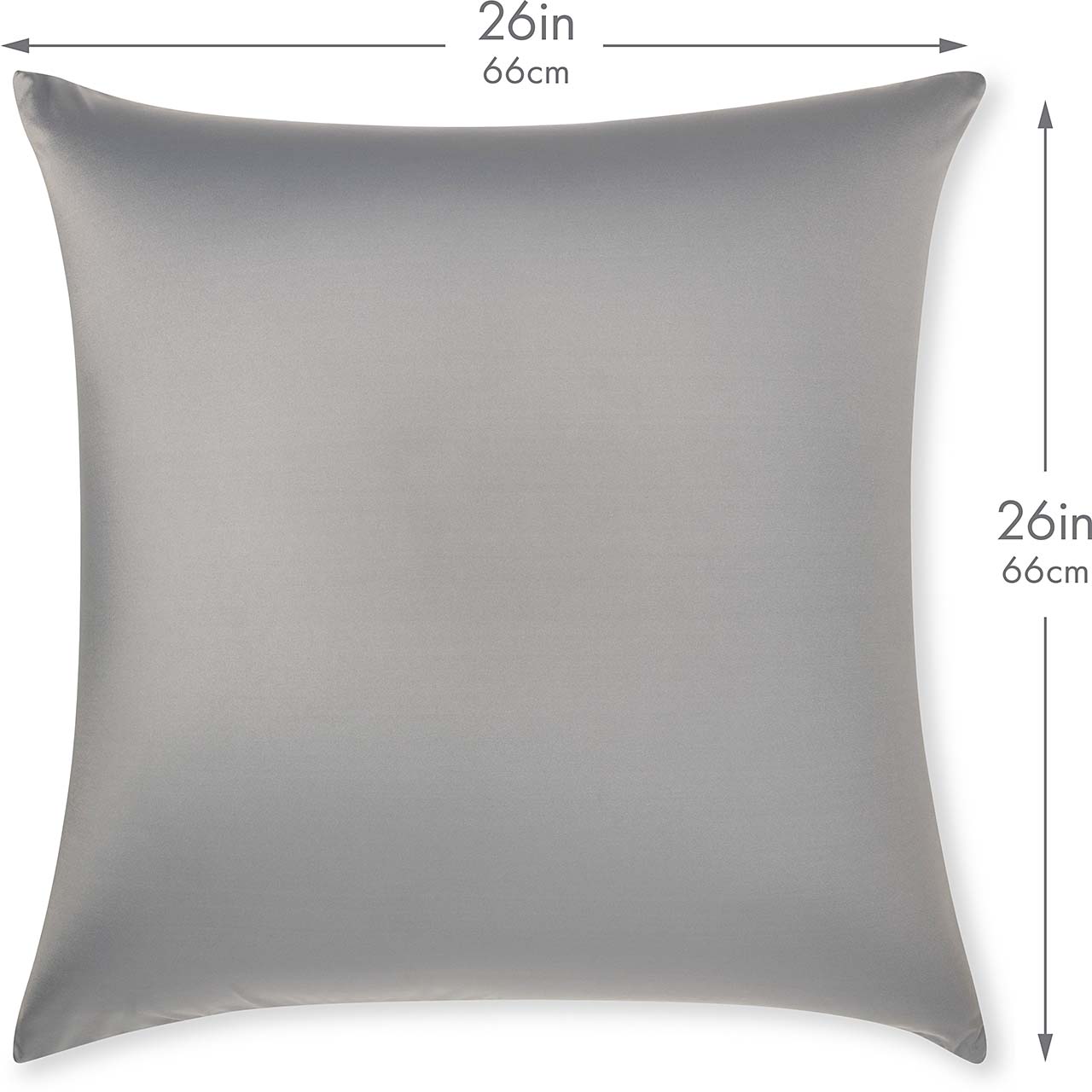 Pillow & Cover / Dark Grey