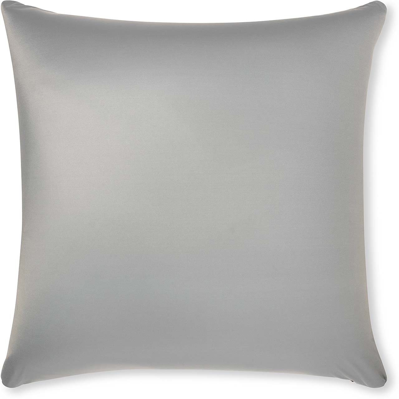 Pillow & Cover / Light Grey