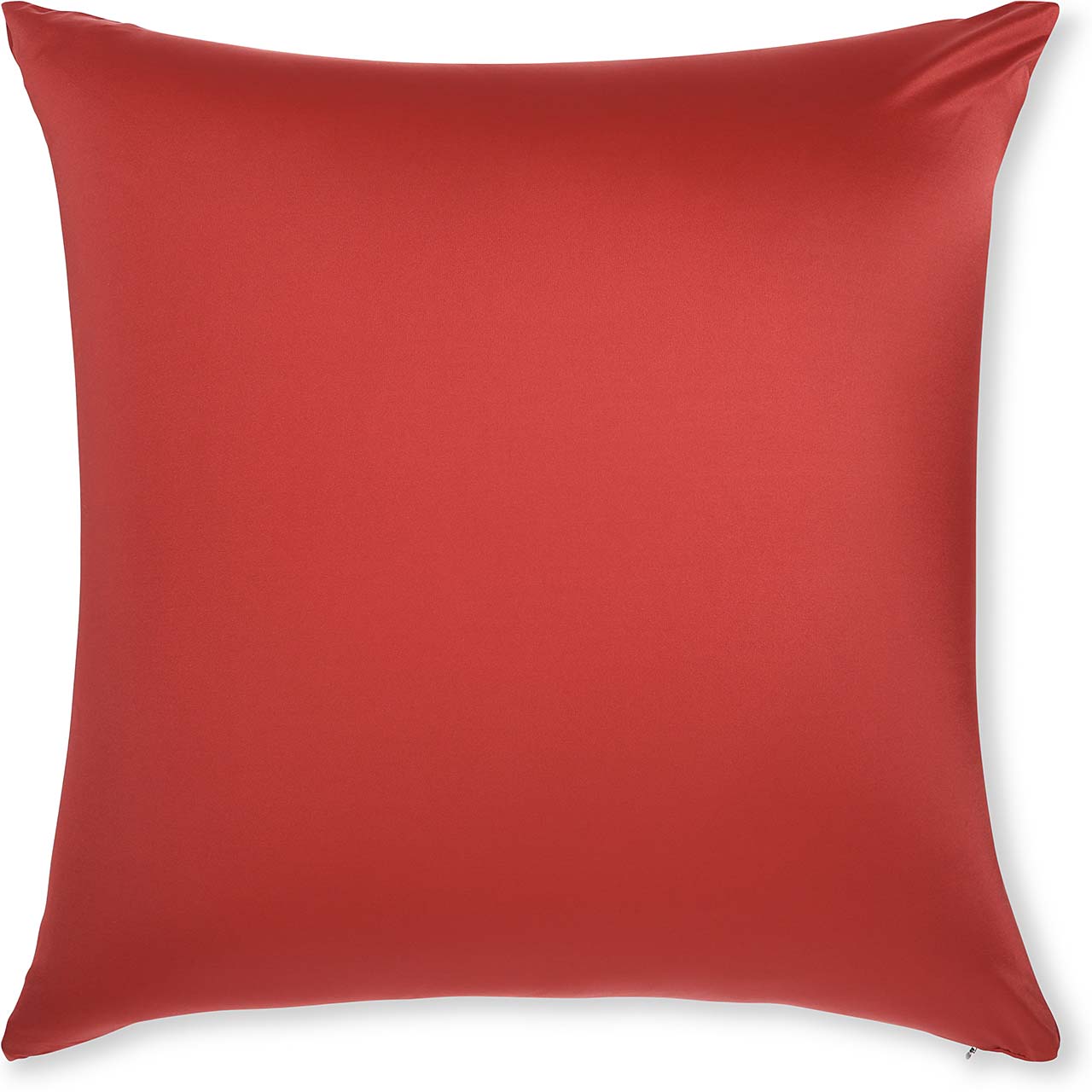 Pillow & Cover / Maroon