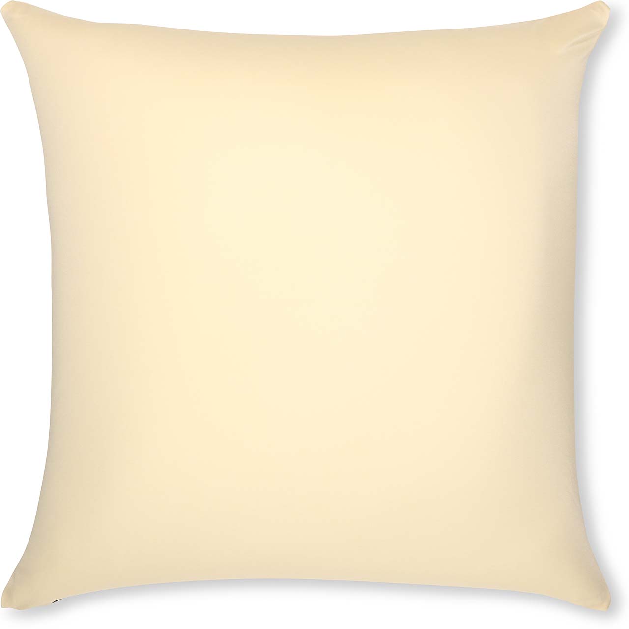 Pillow & Cover / Off white- Creme