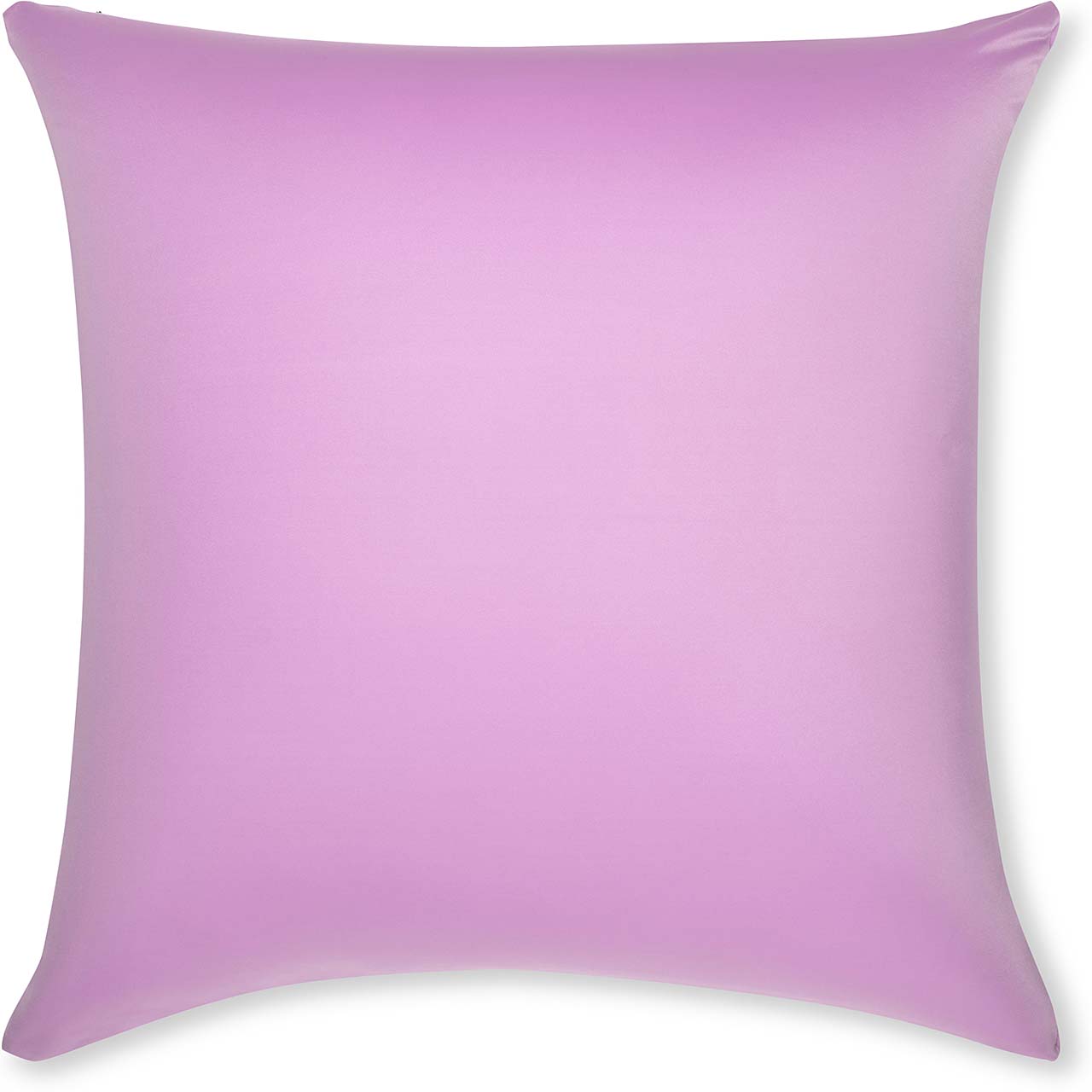 Pillow & Cover / Purple