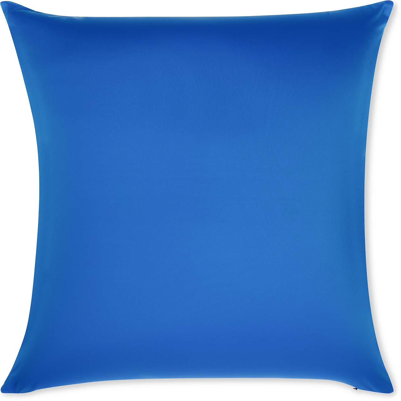 Pillow & Cover / Yeal Blue